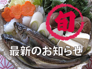 最新のお知らせ