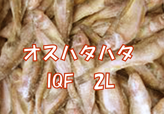 オスハタハタIQF 2L