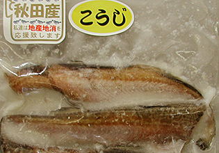 ドレスハタハタこうじ